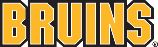 Boston Bruins 1995-2007 Wordmark Logo iron on transfers for fabric